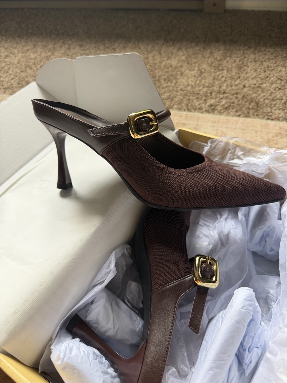 Pointed Brown Mary Jane Slingback Heels with Gold Buckle